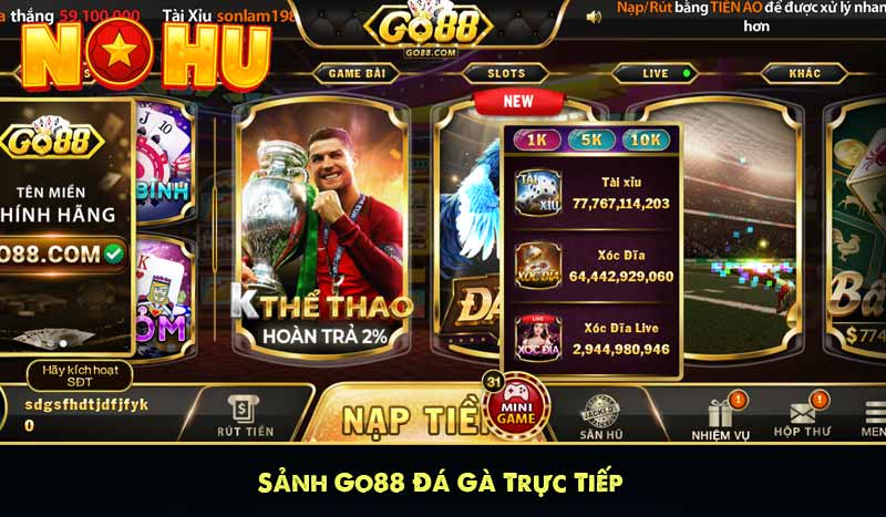 Sảnh Go88 Đá Gà Trực Tiếp
