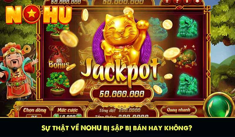 Sự thật về NOHU bị sập bị bán hay không? 11 Sự thật về NOHU bị sập bị bán hay không?